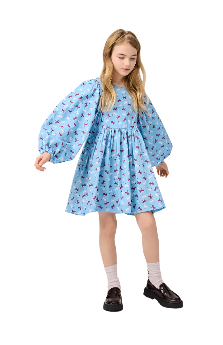 CAIOSI - DRESS LS