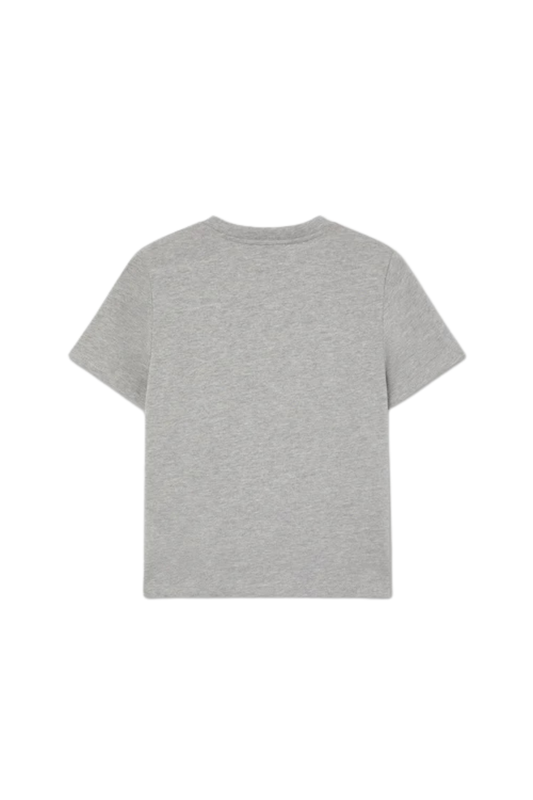 CAMISETA ALGODON GRIS